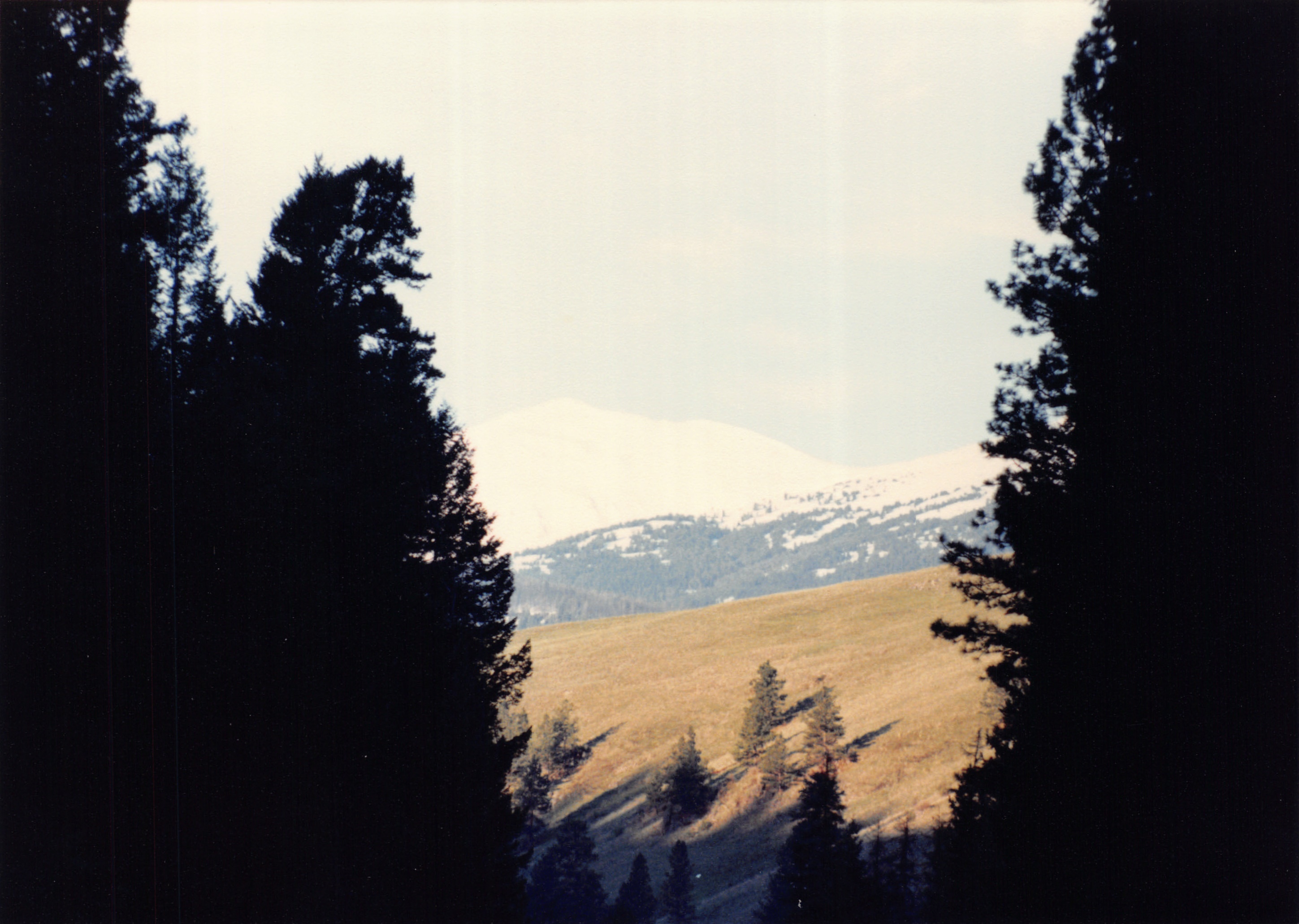 1985_Part 2_01_033.jpg